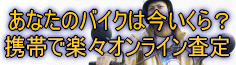 �o�C�N�l�b�g����